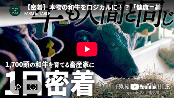 日新丸紅飼料 公式YouTube『FARM to TABLE』